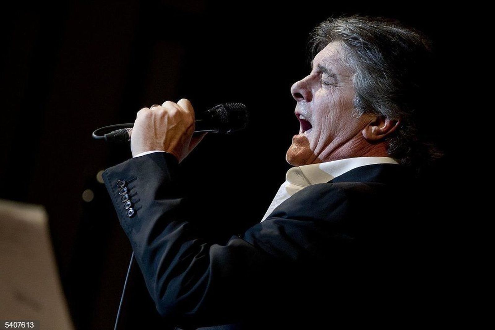 Imagen de Francisco en concierto EP