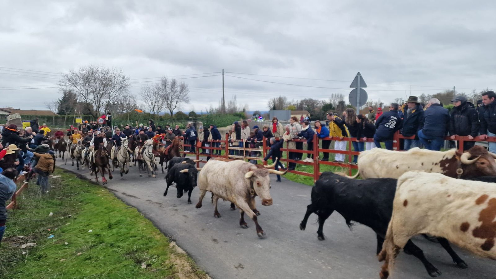 Encierro a Caballo en el Carnaval del Toro 2026 de Ciudad Rodrigo