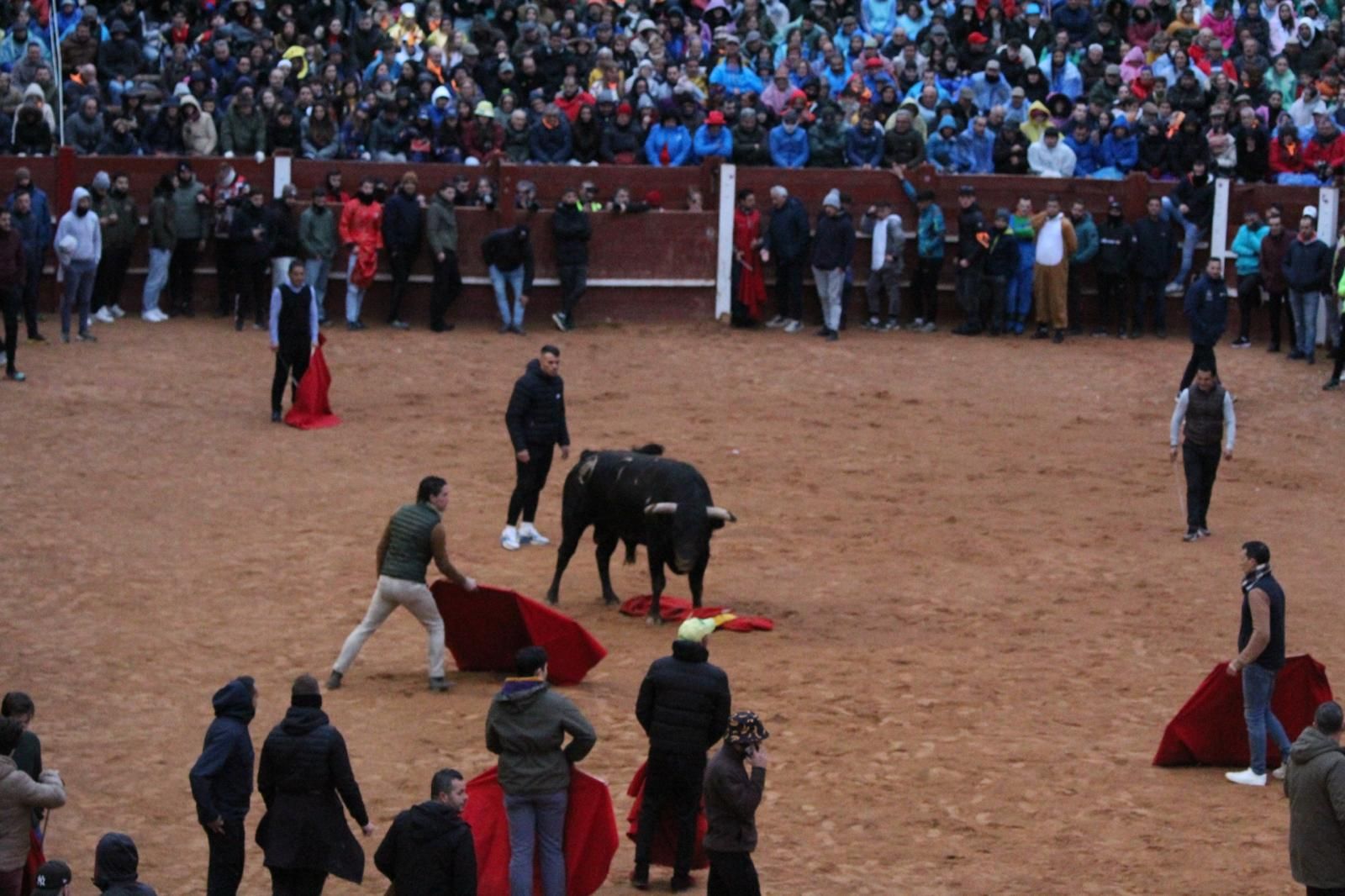 ambiente-y-capea-vespertina-sabado-de-carnaval-en-ciudad-rodrigo-2025-fotos-belen-hurtado-30