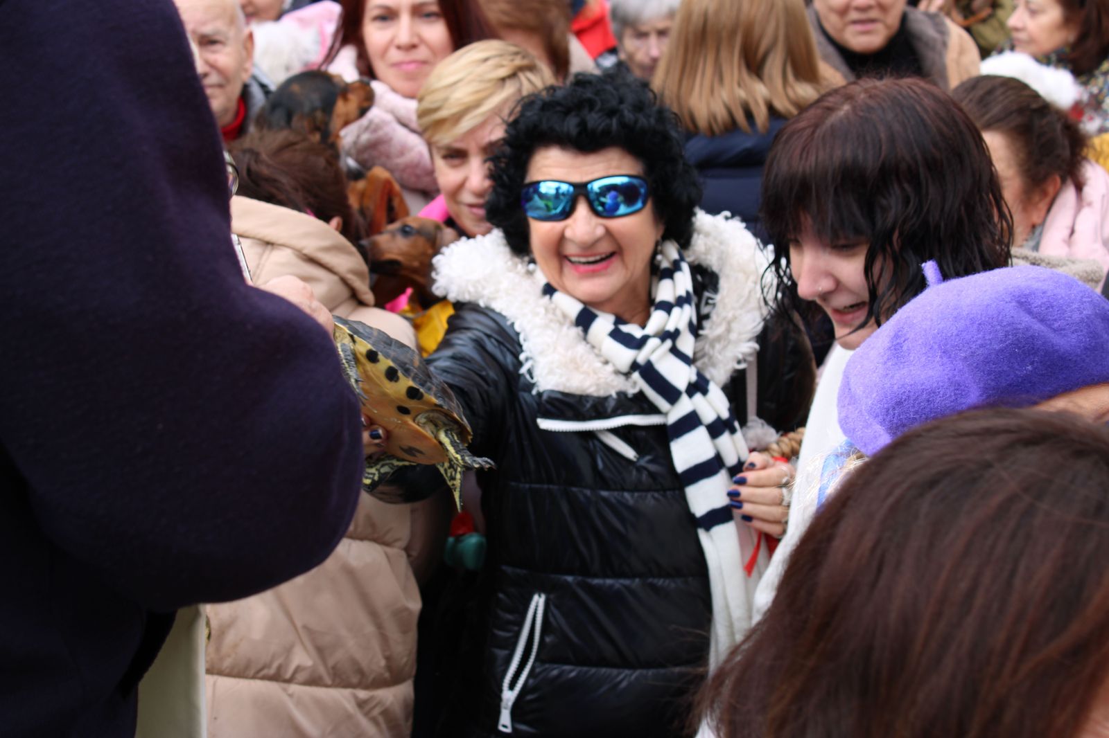 san-anton-bendicion-de-animales-2024-foto-s24h-75