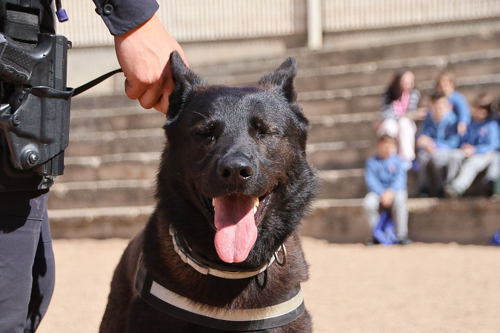 Reportaje perros Policía Local "semillas de conciencia"