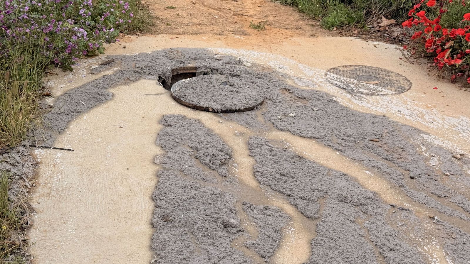 Denuncian nuevos problemas de saneamiento en Zamora revienta una arqueta de aguas sucias en la carretera de la Aldehuela