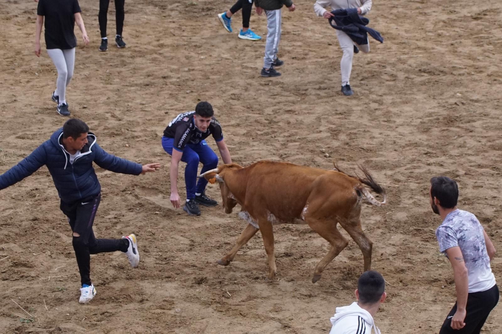 whatsapp-image-2023-05-22-at-20-19-30-2