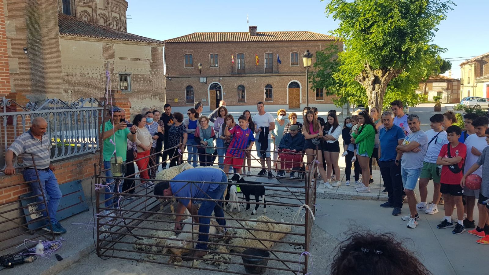 Un momento de la jornada de la tradición sobre transhumancia y pastoreo en Rágama