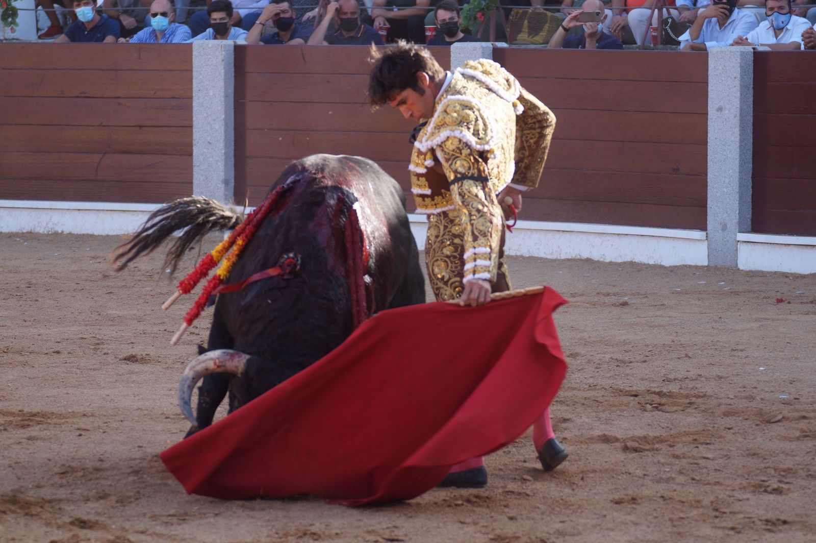 toros-en-guijuelo-15-de-agosto-31