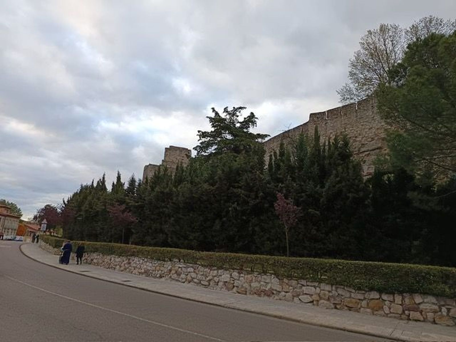 Quejas por el muro vegetal que "oculta" la muralla de Zamora