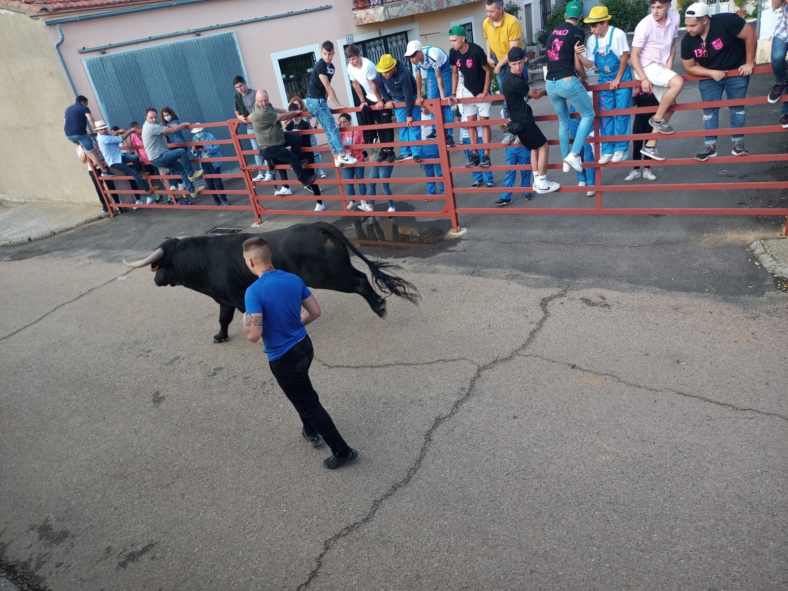 whatsapp-image-2022-05-14-at-8-08-42-pm