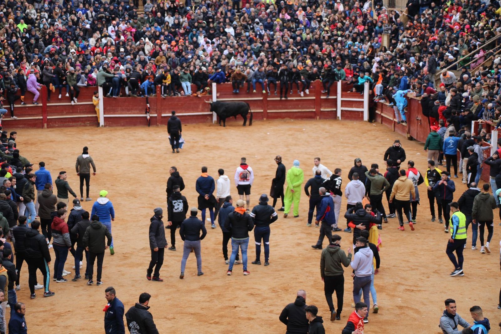 whatsapp-image-2025-03-01-at-13-18-55