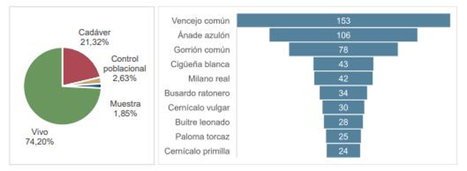 Informe Red de Centros de Recuperación de Animales Silvestres de Castilla y León