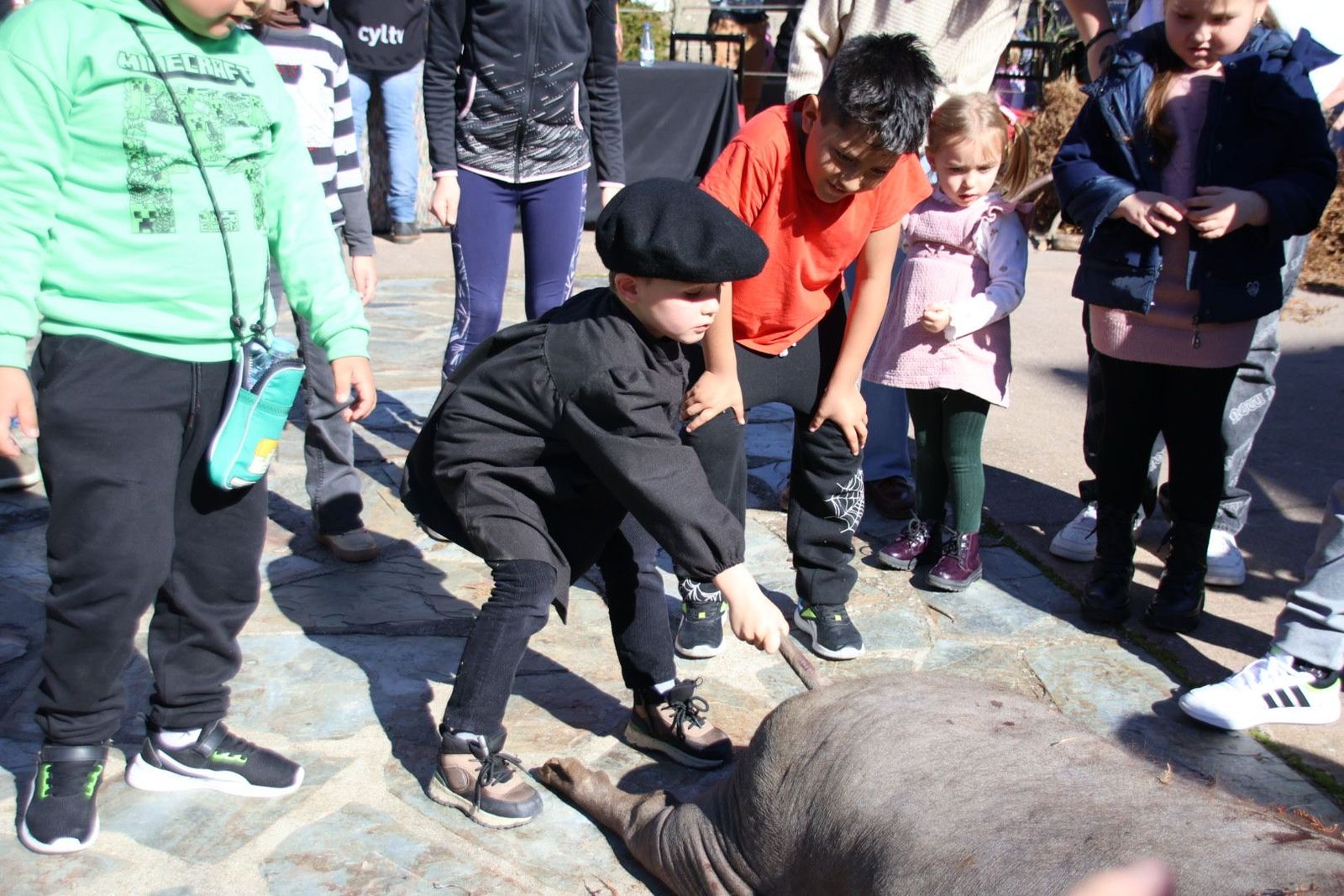 20240203131355-img-4451