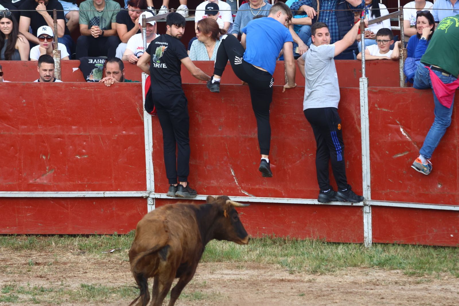 Grand Prix y Capea en Doñinos