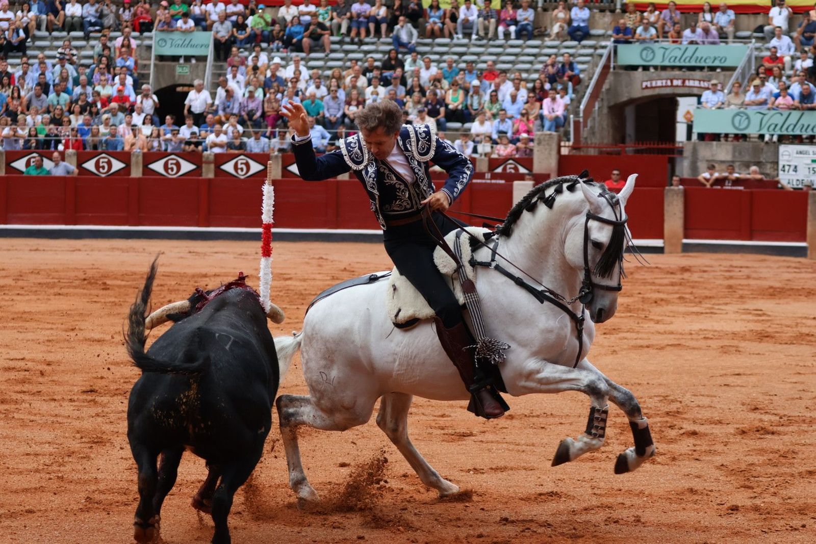 20230909171959-img-0417