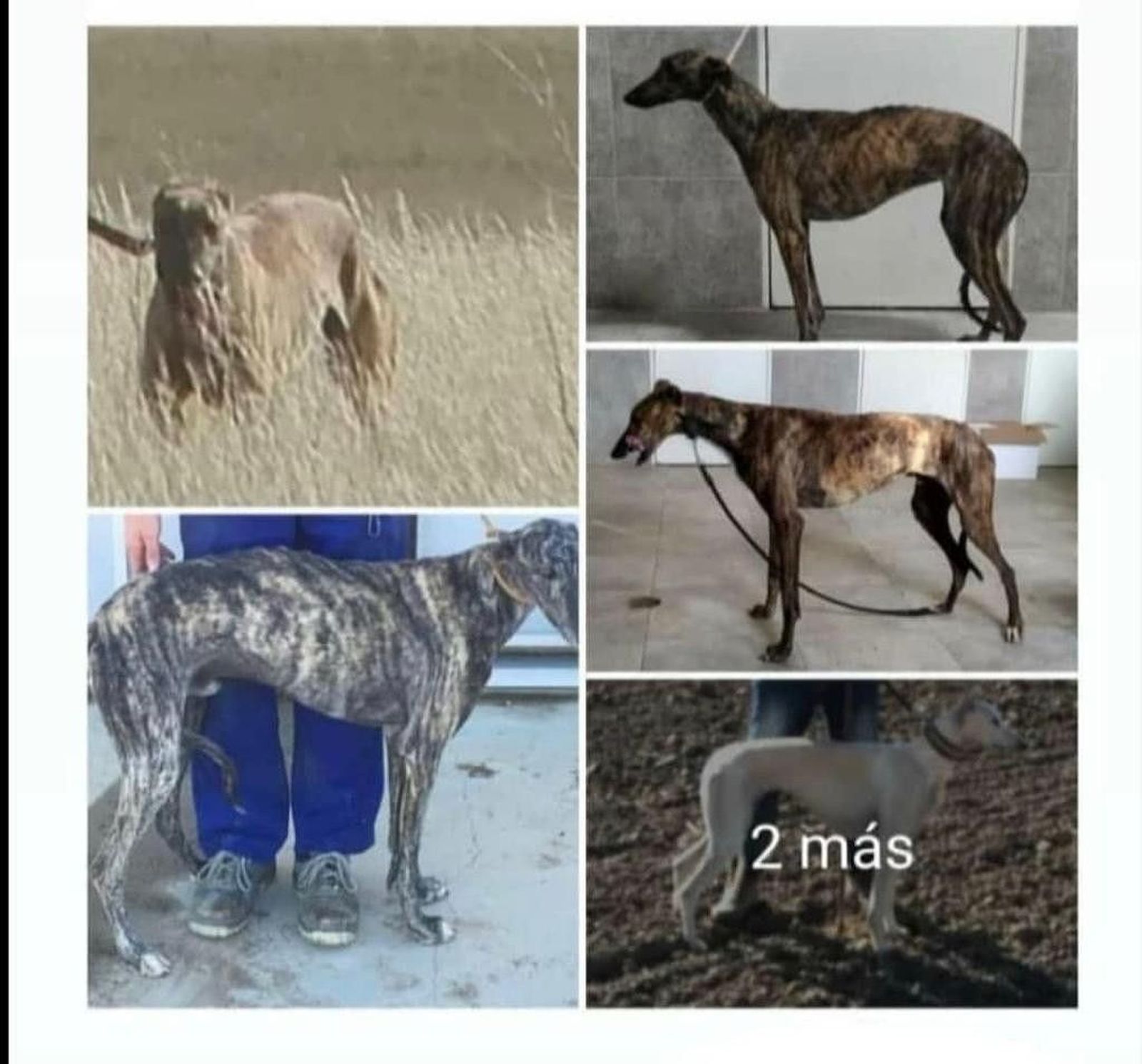 WhatsApp Image 2019 11 05 at 10.10.44