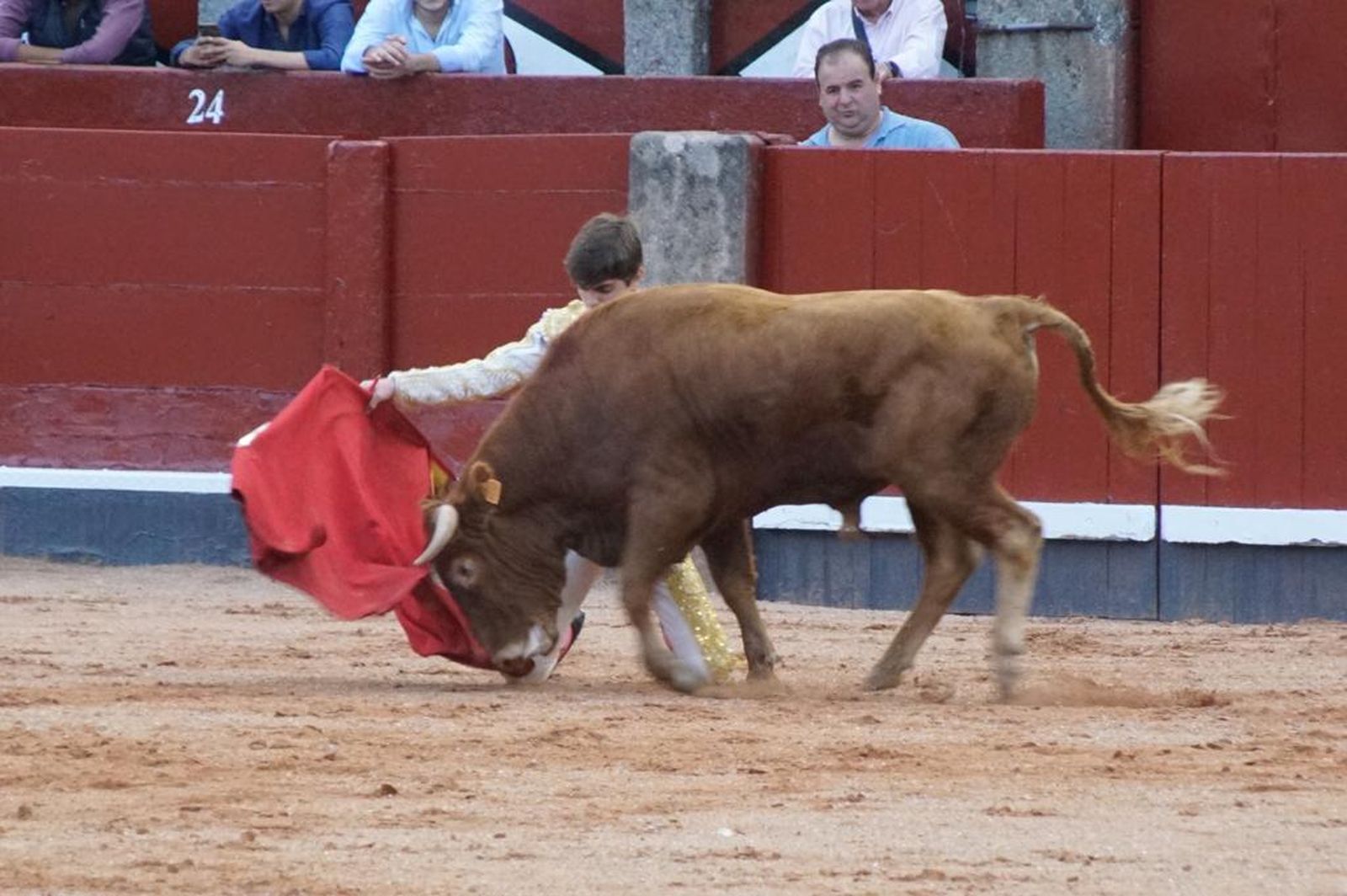 whatsapp-image-2023-09-08-at-21-25-03-2