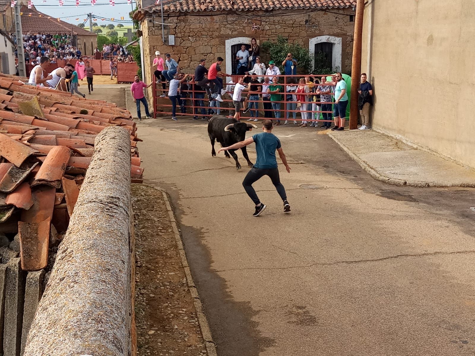 whatsapp-image-2022-05-14-at-8-08-44-pm-1