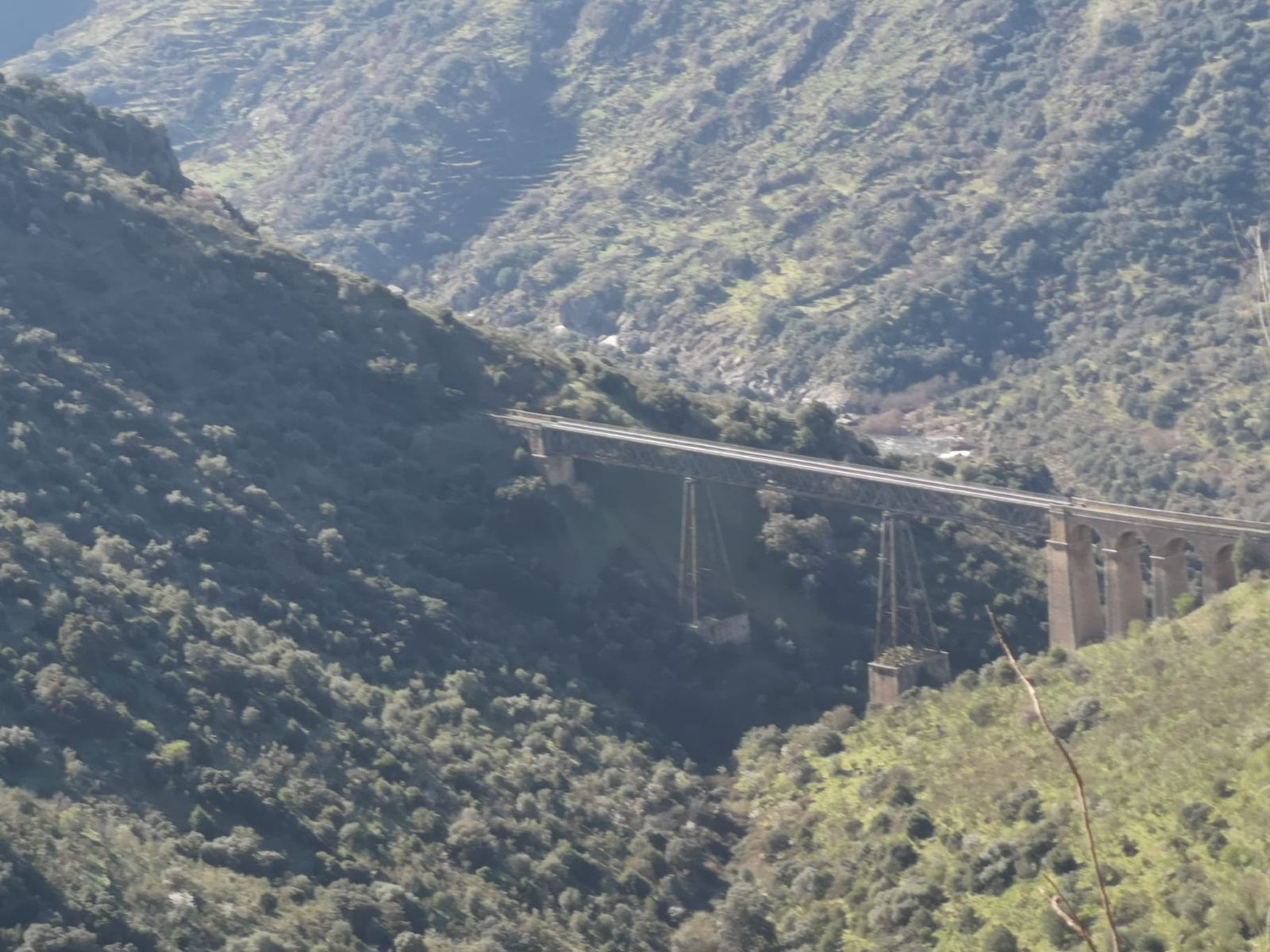 Más de un centenar de senderistas recorren La Fregeneda entre almendros en flor