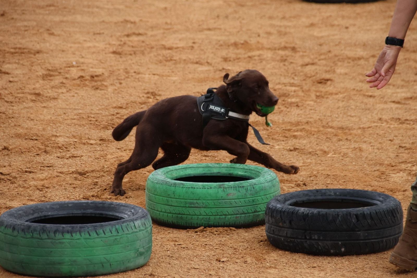 20230902114232-img-7179