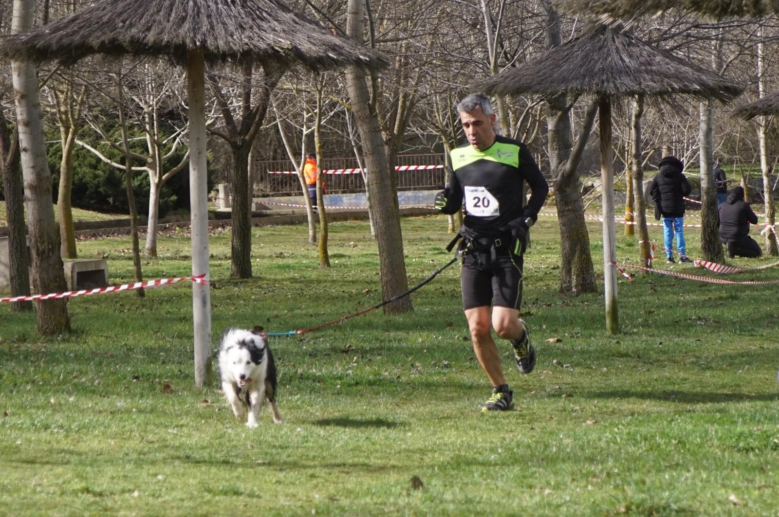 iv-canicross-alba-de-tormes-18