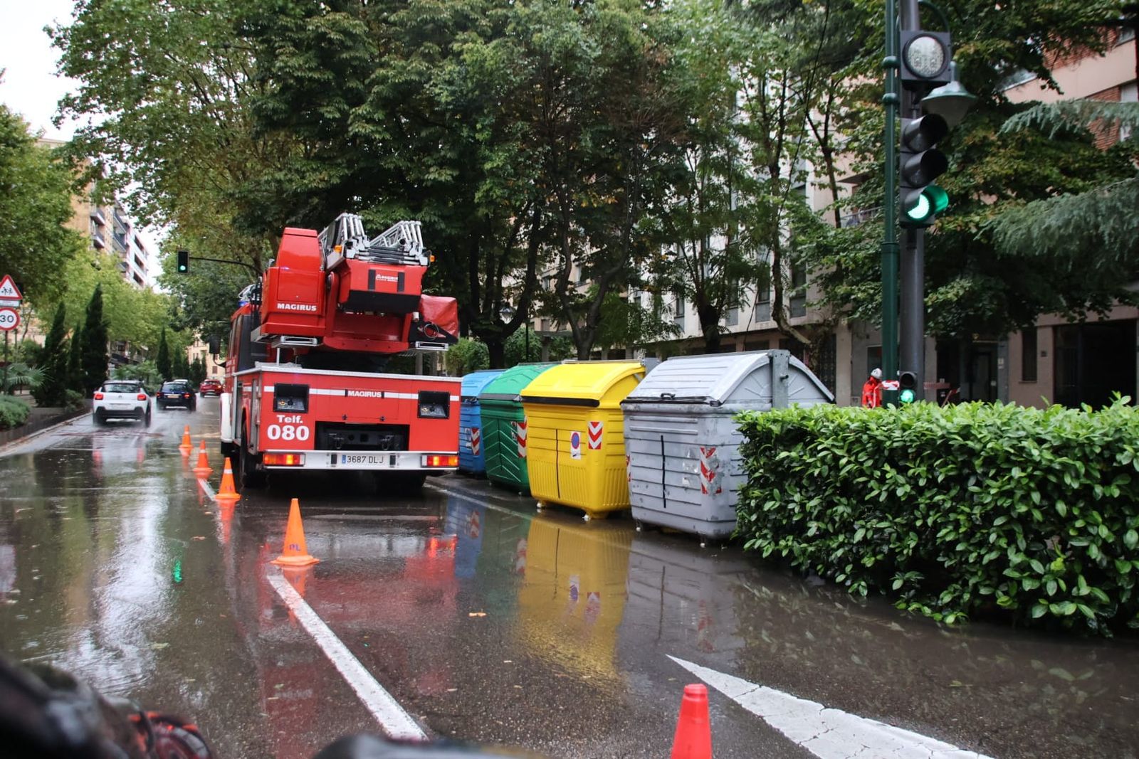 bomberos-y-policia-local-de-salamanca-actuando-en-el-paseo-de-carmelitas-por-la-caida-de-una-rama-5