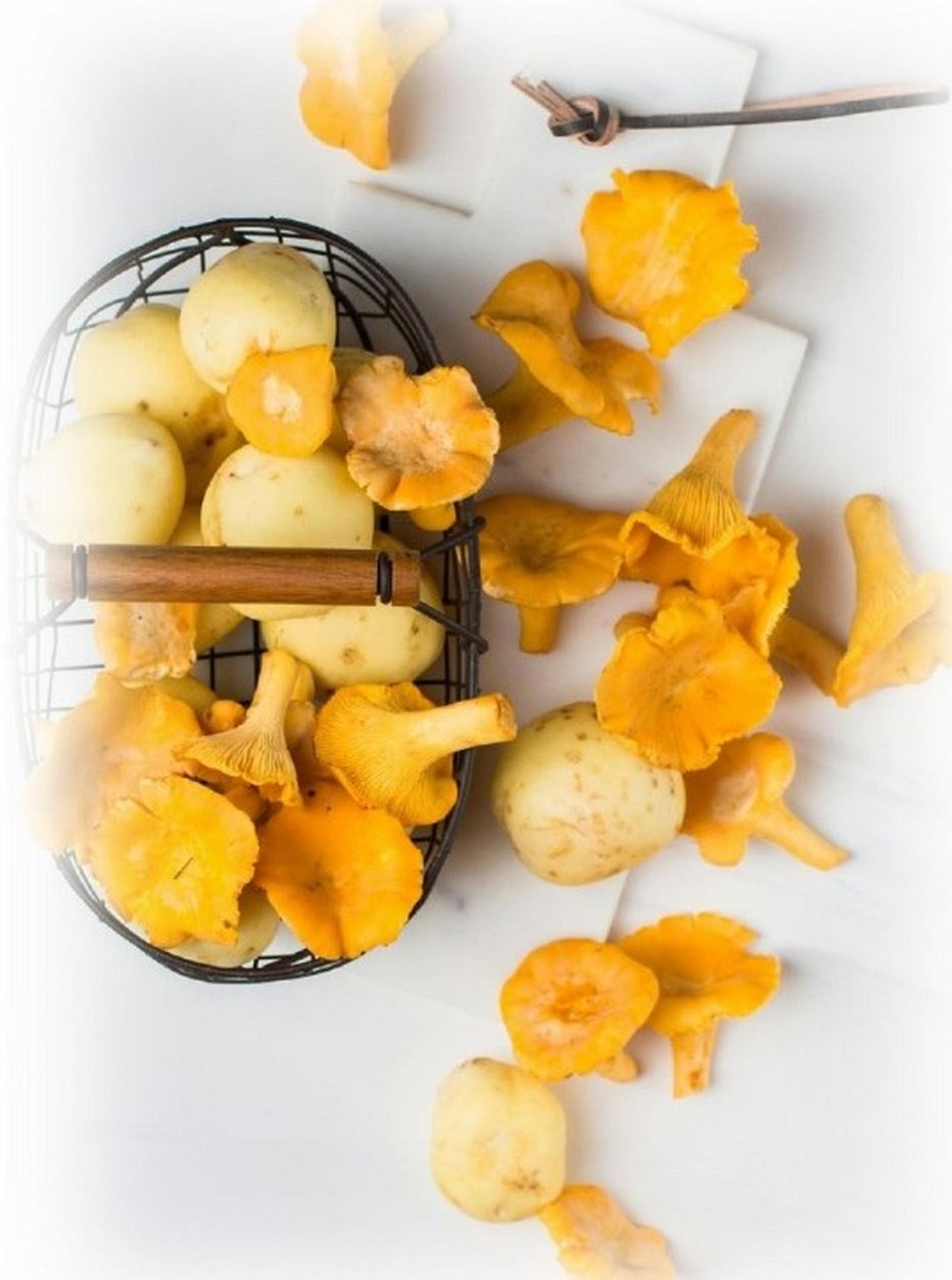 Nuevas aplicaciones de las setas silvestres en gastronomía