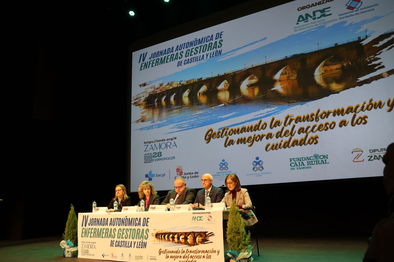 IV Jornada Autonómica de Directivos de Enfermería de Castilla y León (23)