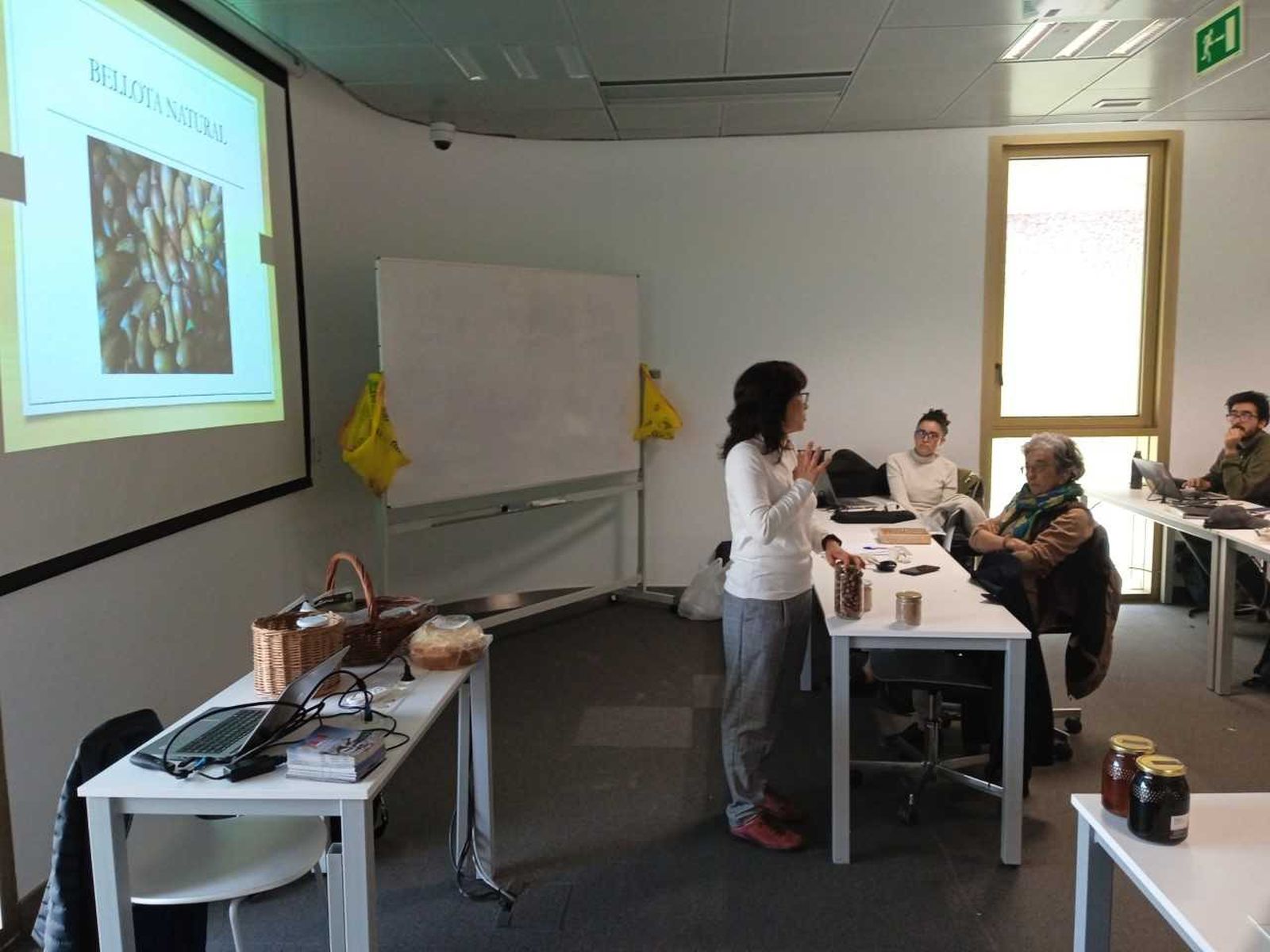 Monleras en el Basque Culinary Center1