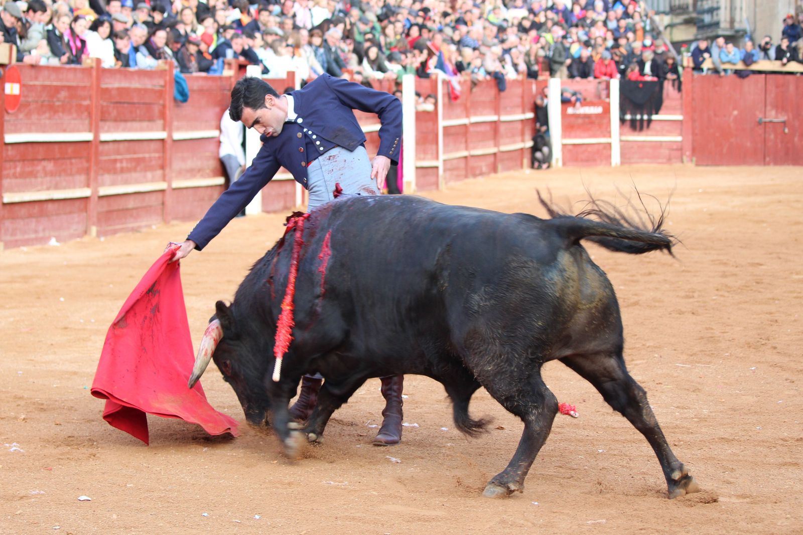 Chaves, El Capea y Pérez Pinto abren la Puerta Grande en el primer festival del Carnaval de Ciudad Rodrigo de 2023