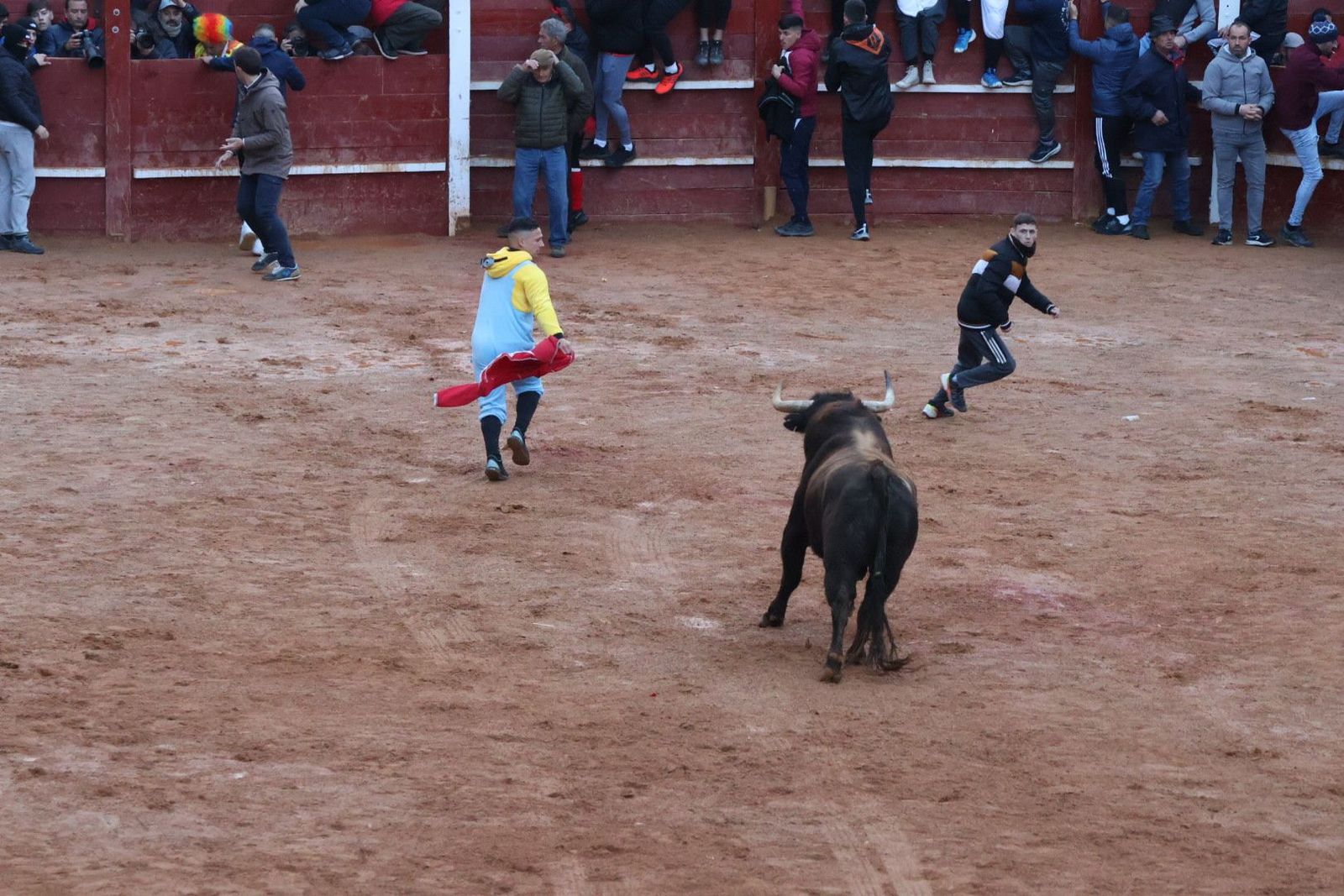 20240210183831-img-5995