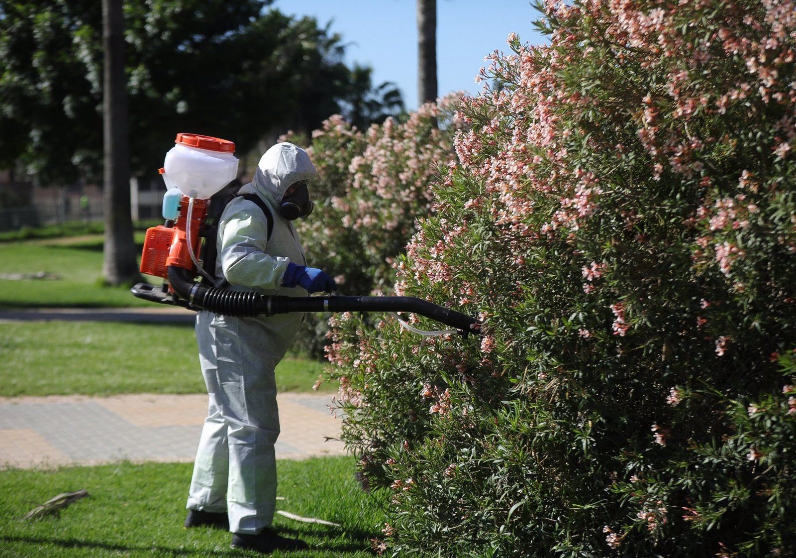 Un operario realiza labores de fumigación contra los mosquitos. | EP