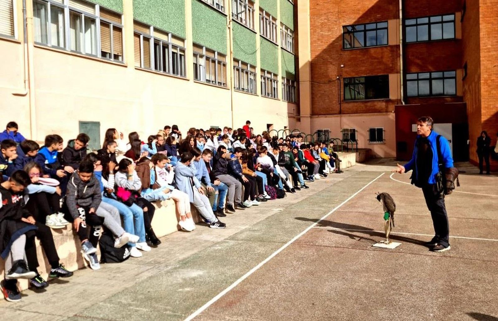 Los estudiantes zamoranos conocen de cerca el arte de la cetrería