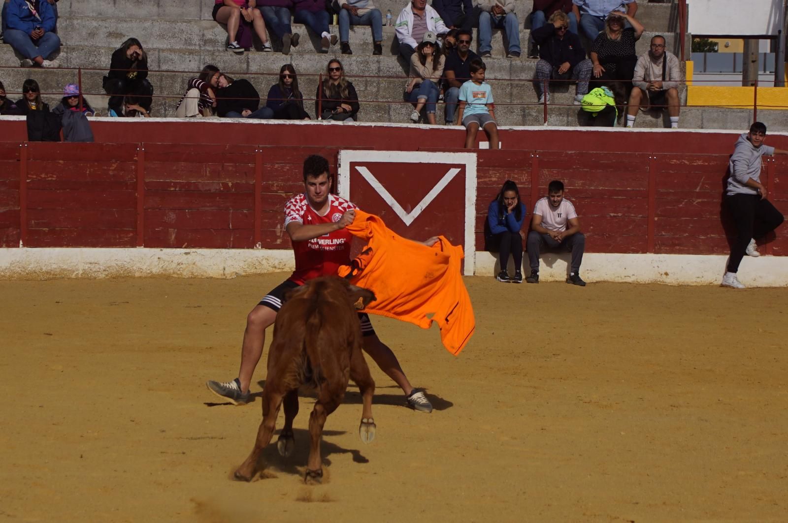 whatsapp-image-2024-09-08-at-14-05-32