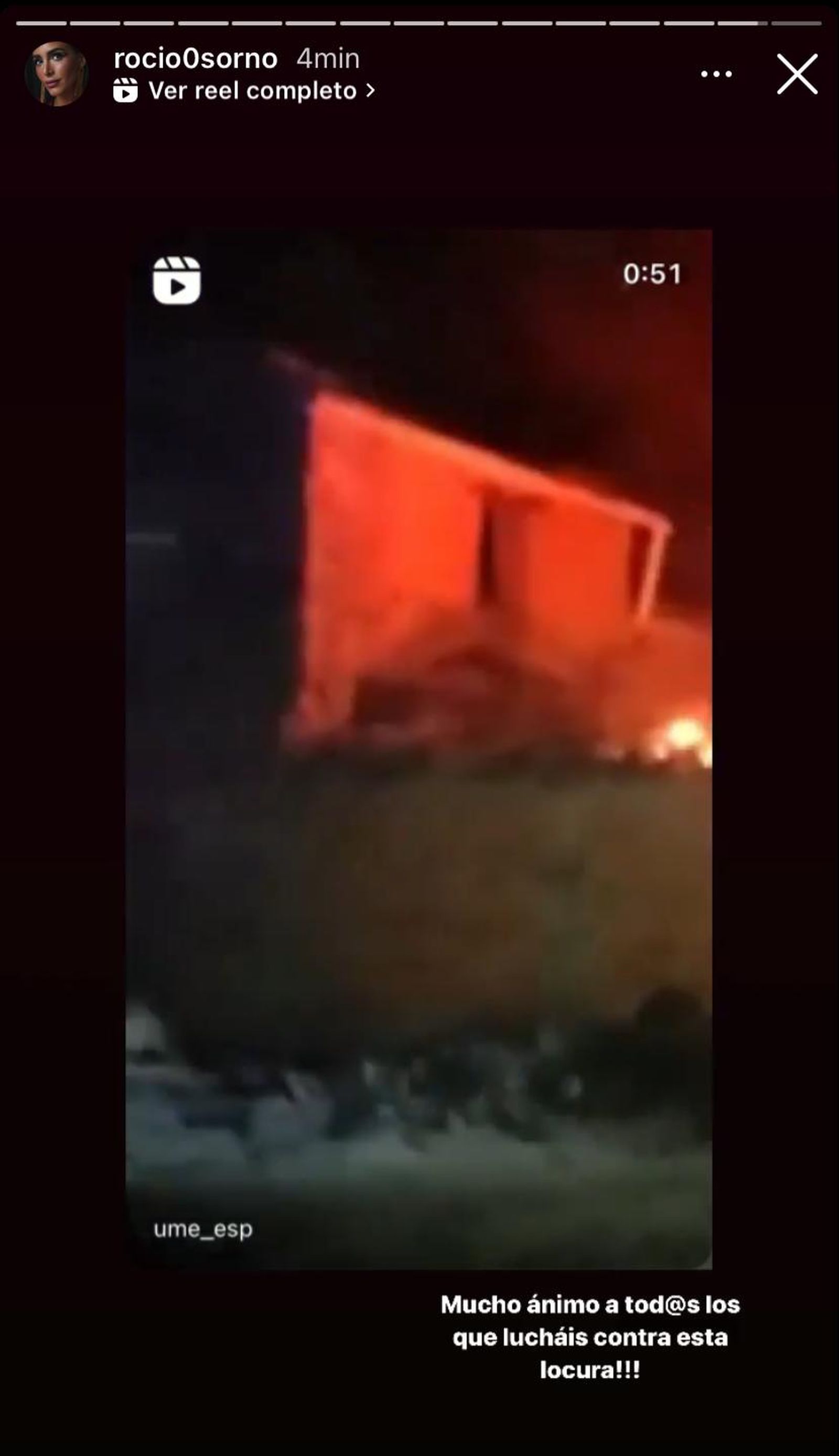 Rocio Osorno se hace eco de la tragedia