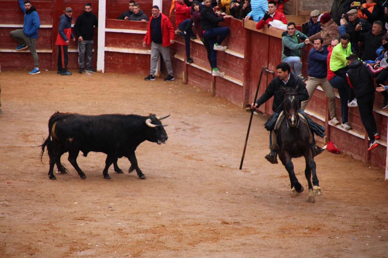 whatsapp-image-2024-02-11-at-11-41-49-3