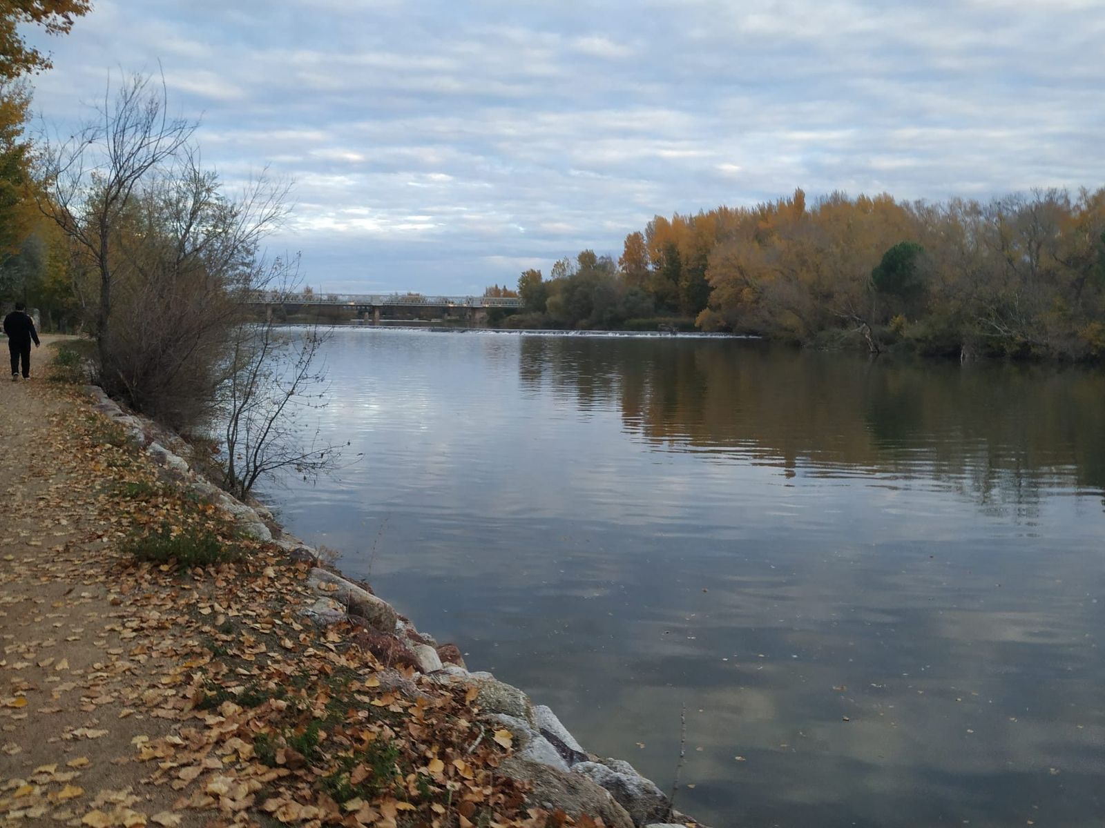 Rio duero puente hierro