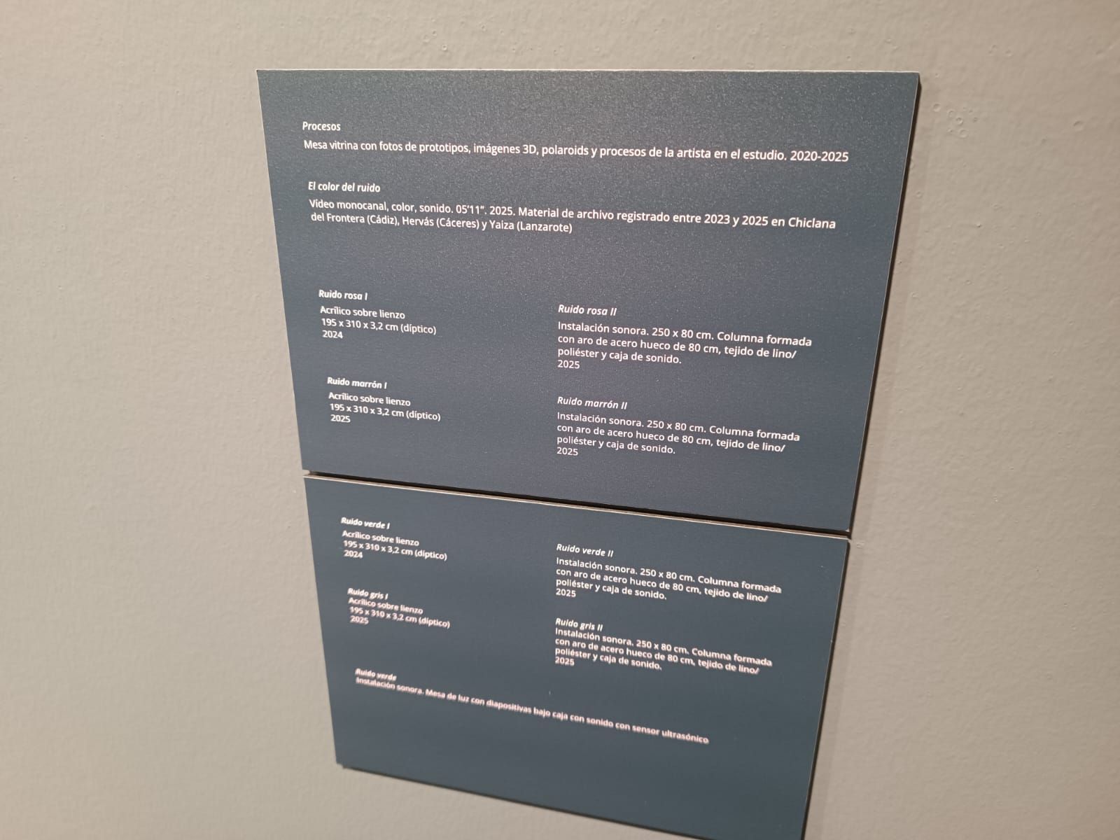 Virginia Rivas presenta su exposición 'El color del ruido' en Salamanca