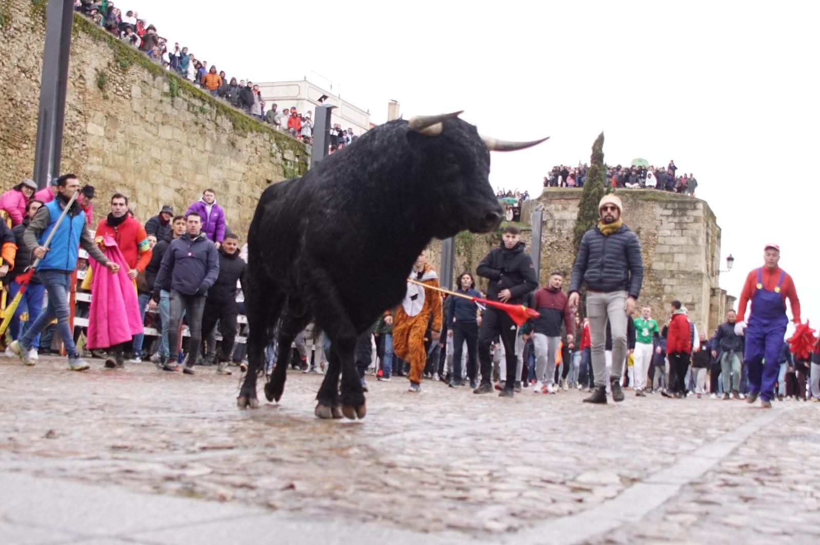Capea matinal de domingo de carnaval en Ciudad Rodrigo (97).jpeg