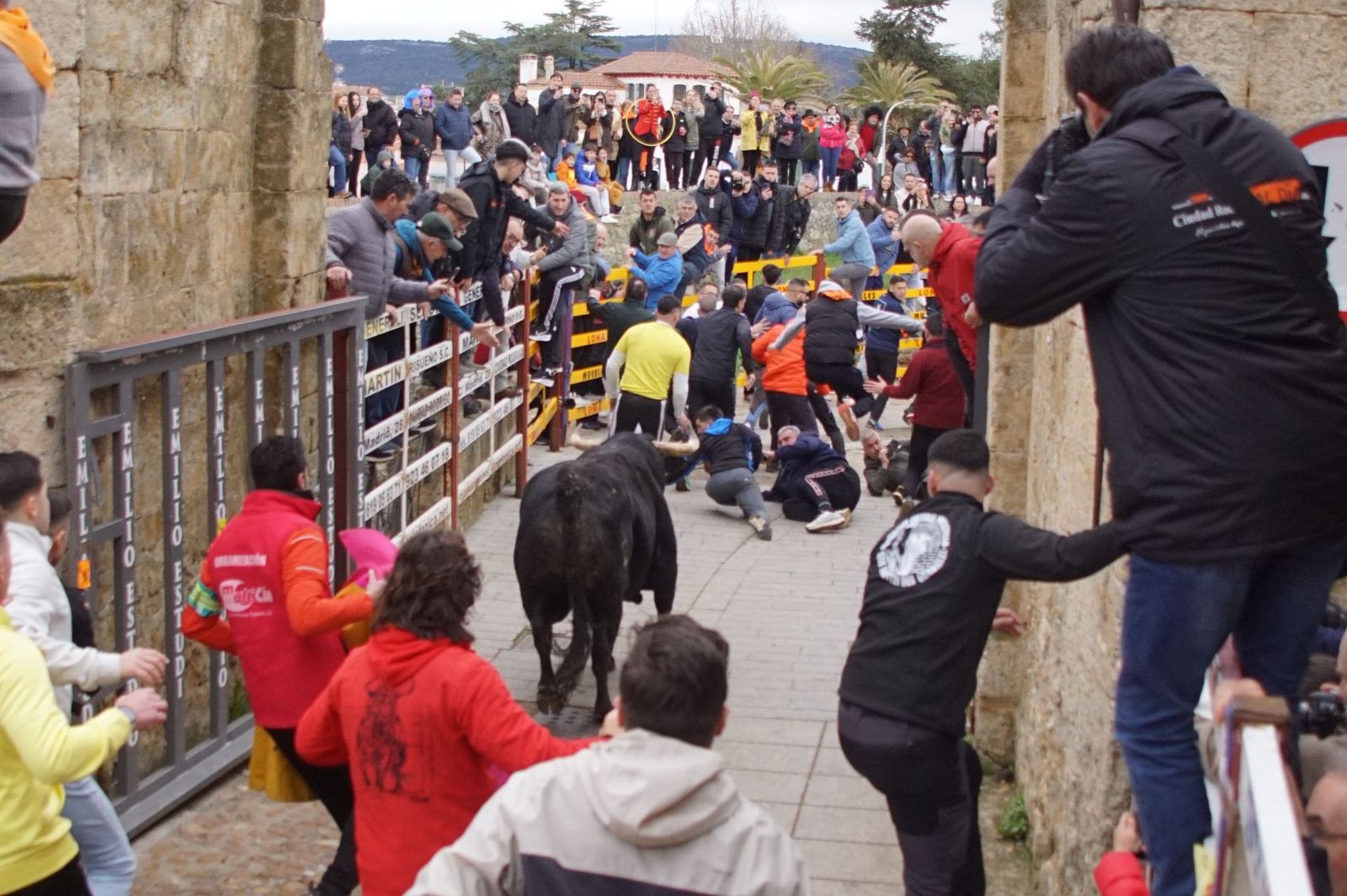 El encierro de Lunes de Carnaval en Ciudad Rodrigo en imágenes