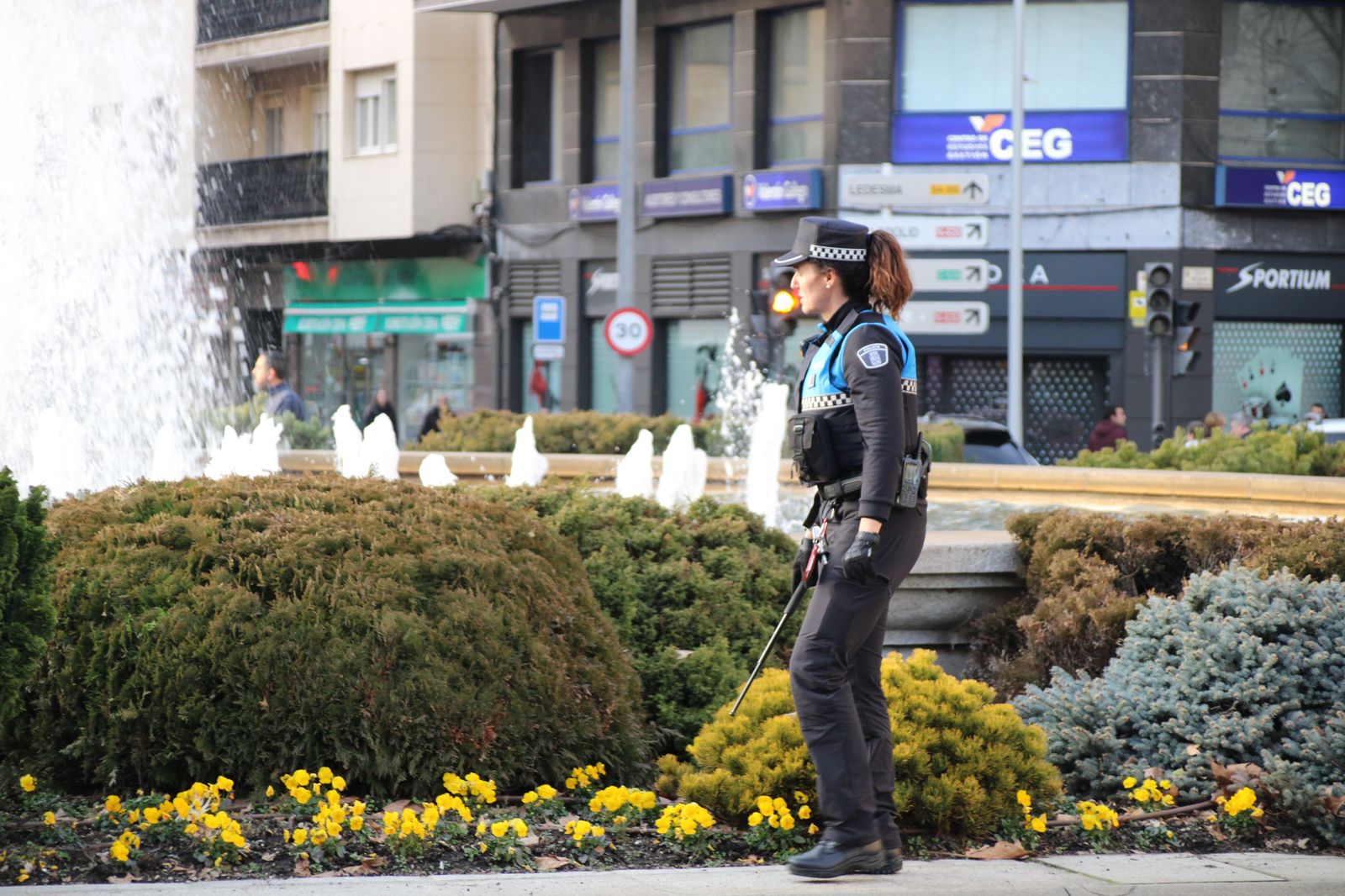 la-policia-local-busca-a-un-vison-refugiado-en-la-fuente-de-la-puerta-de-zamora-fotos-s24h-5