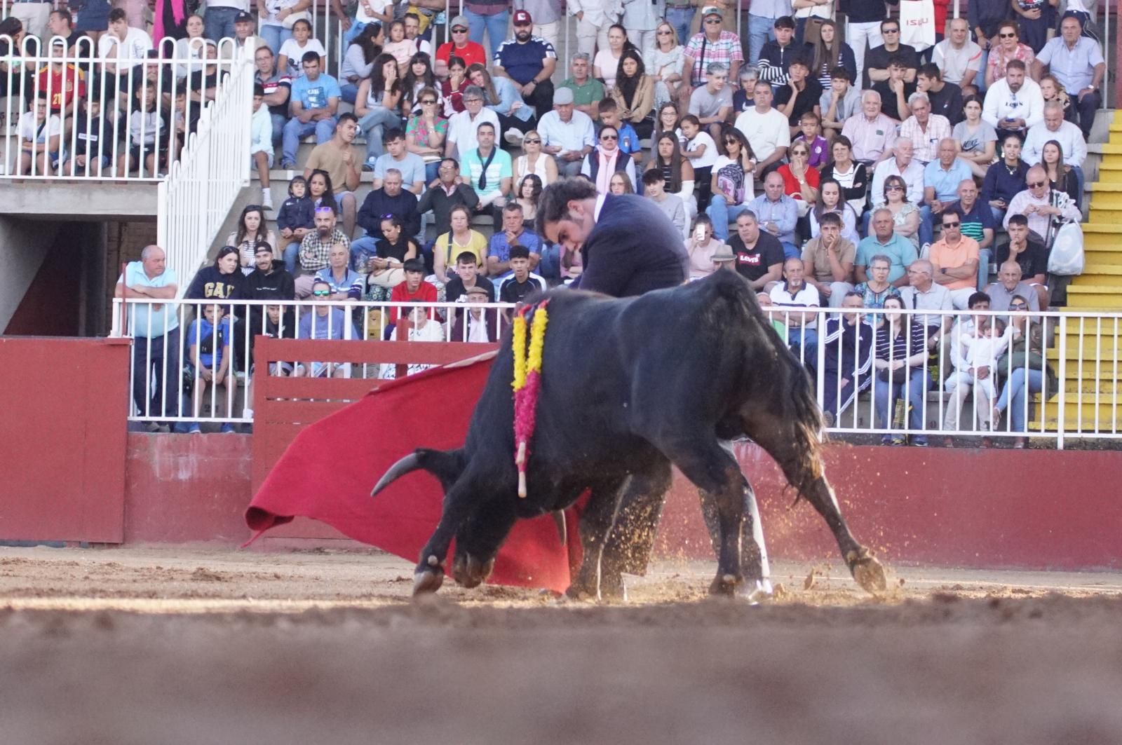 whatsapp-image-2024-09-06-at-20-53-41-1