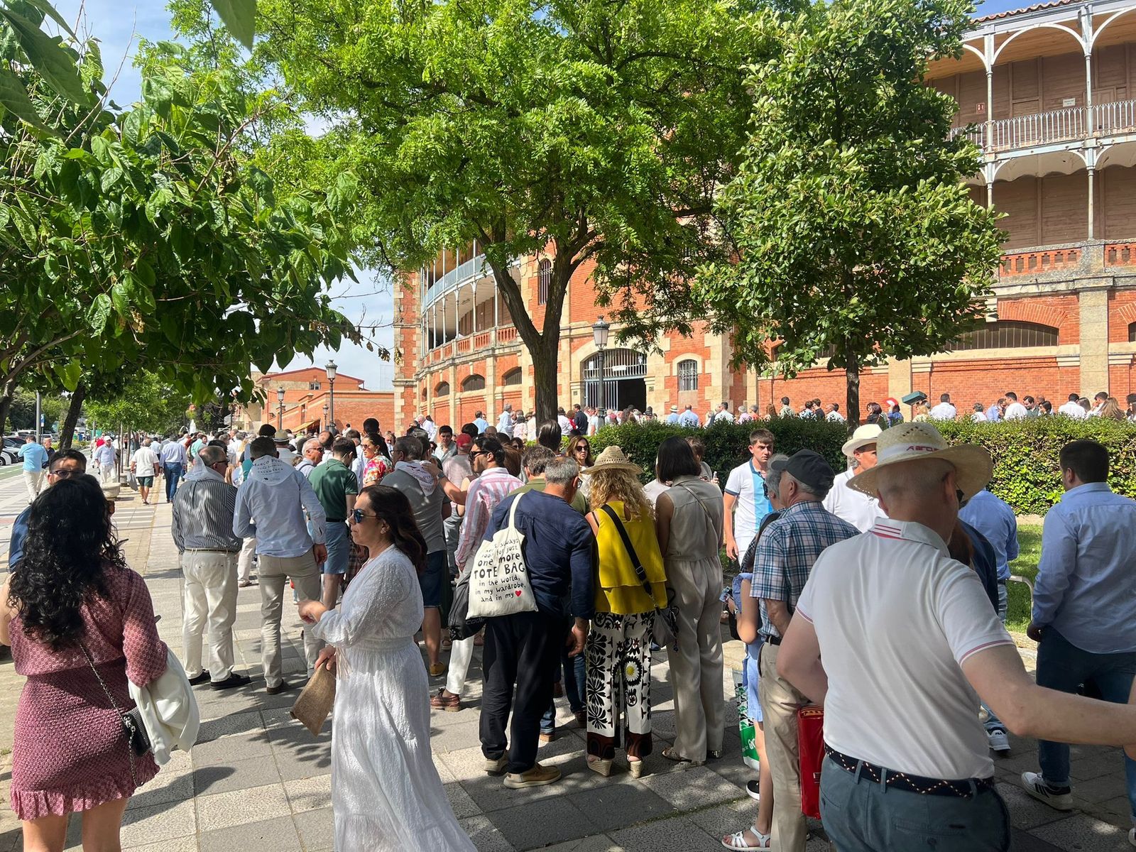 whatsapp-image-2025-06-14-at-17-36-29