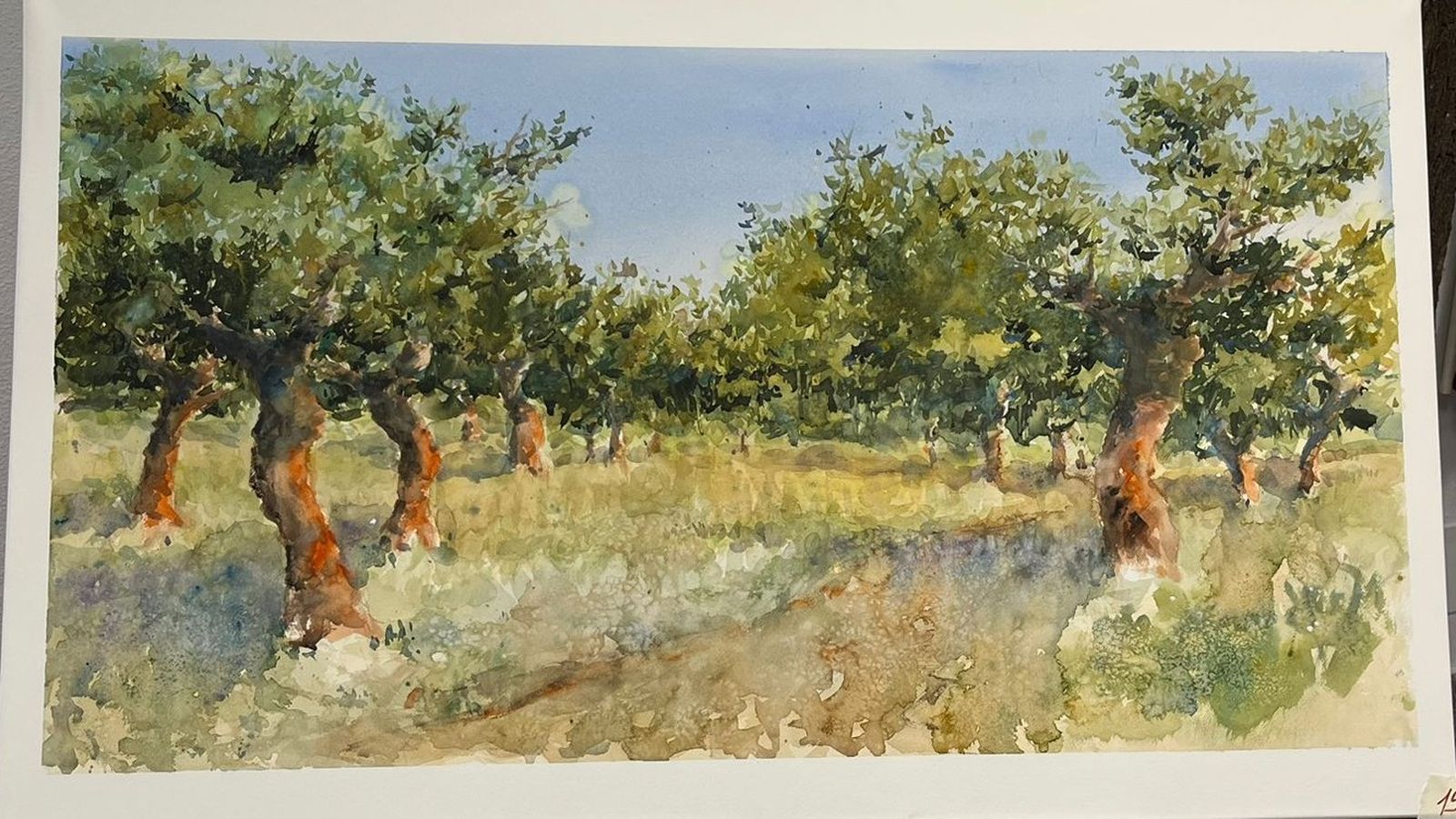 Segundo Premio III Certamen de pintura rápida 'El Alcornocal' de Valdelosa