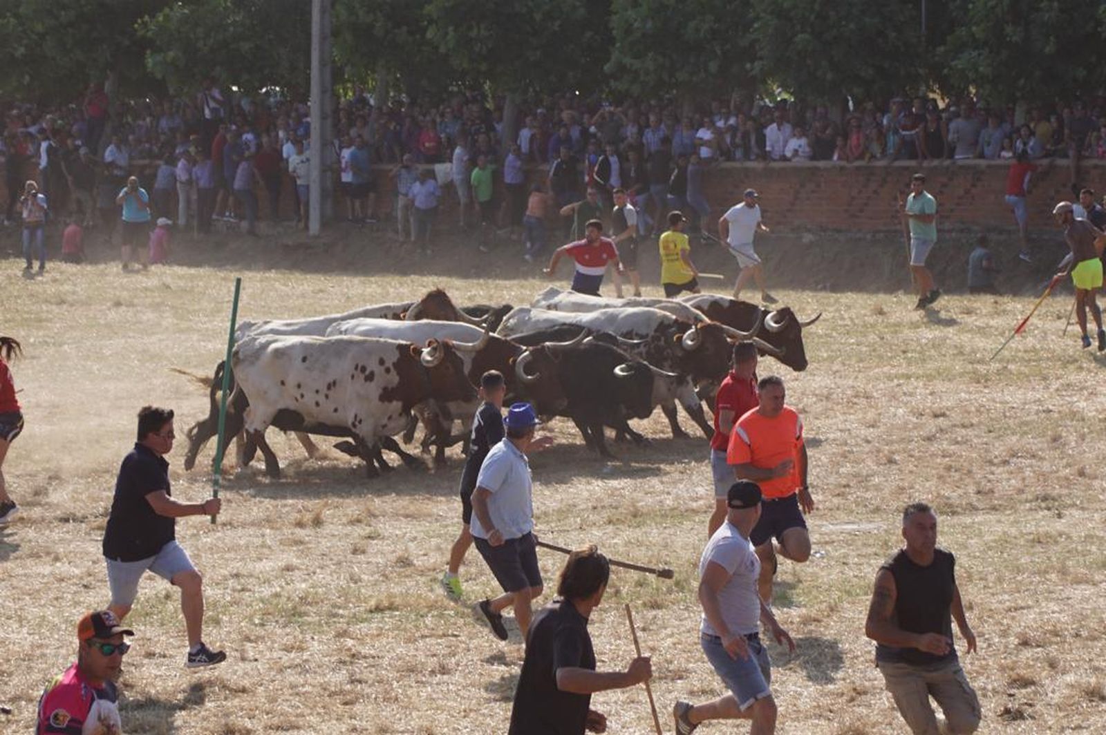espantes-de-fuentesauco-18