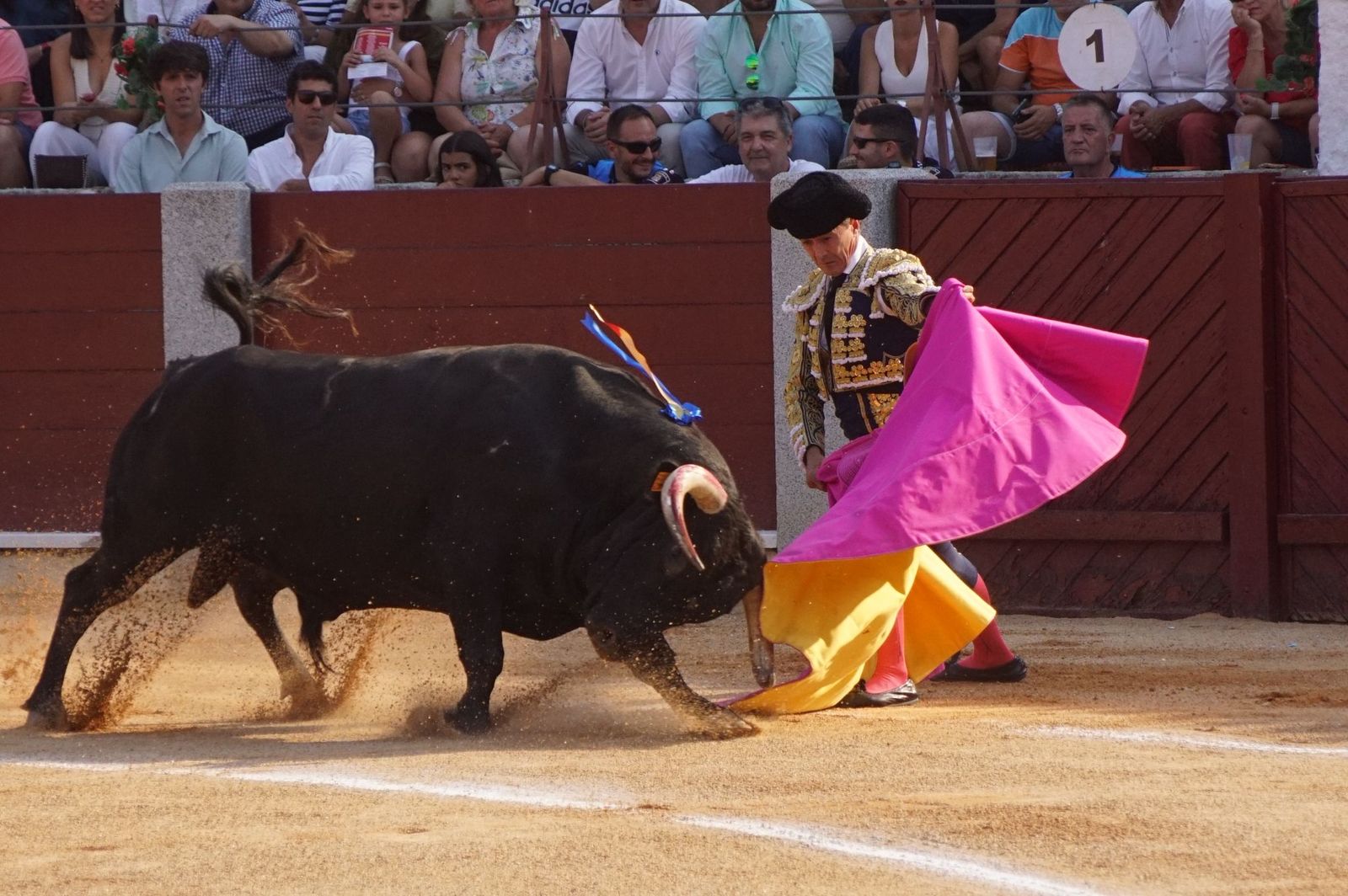 En imágenes la despedida de los ruedos de El Capea en Guijuelo