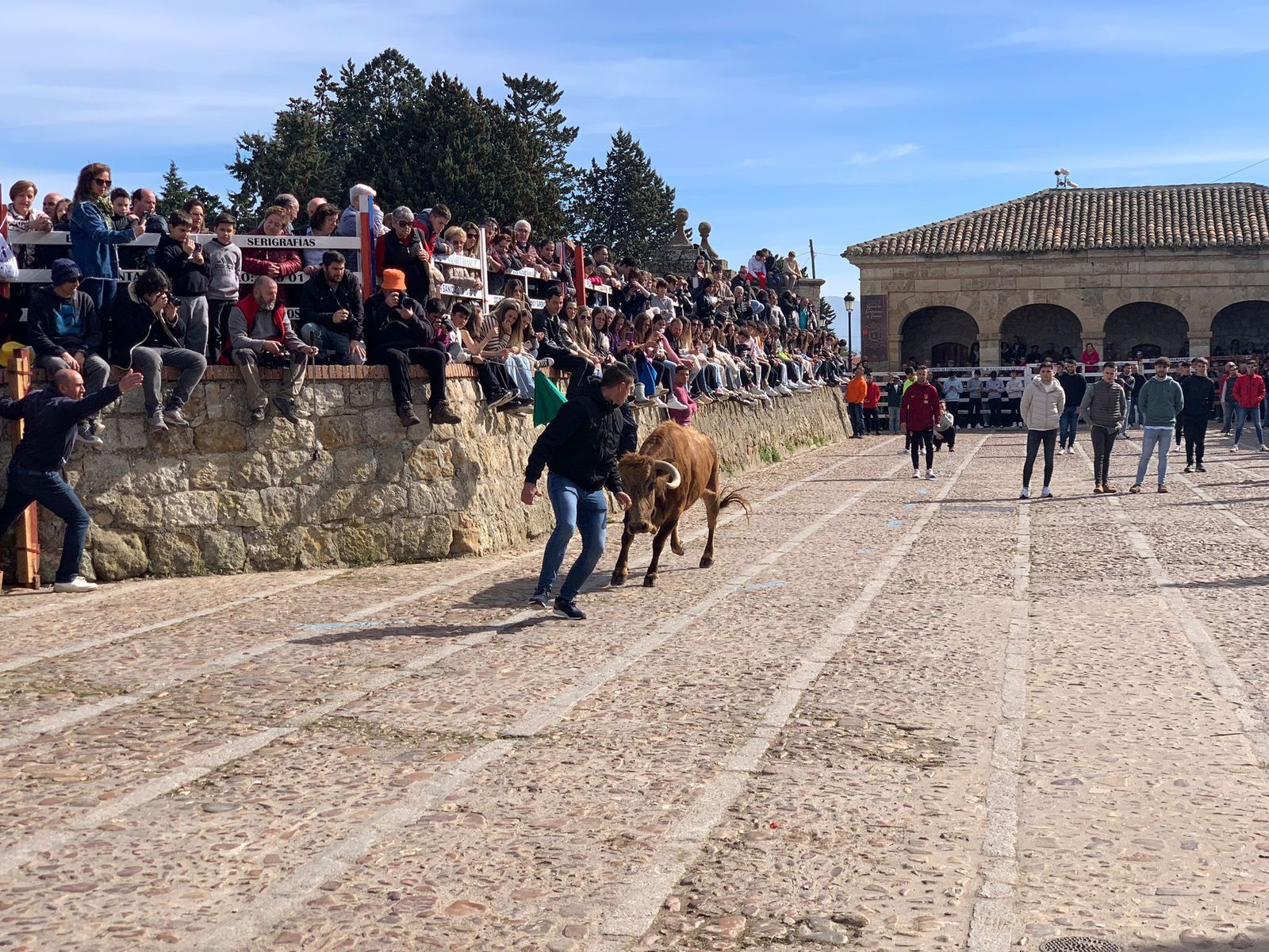 ambiente-con-la-suelta-de-vaquillas-en-el-domingo-de-pinata-en-ciudad-rodrigo-5