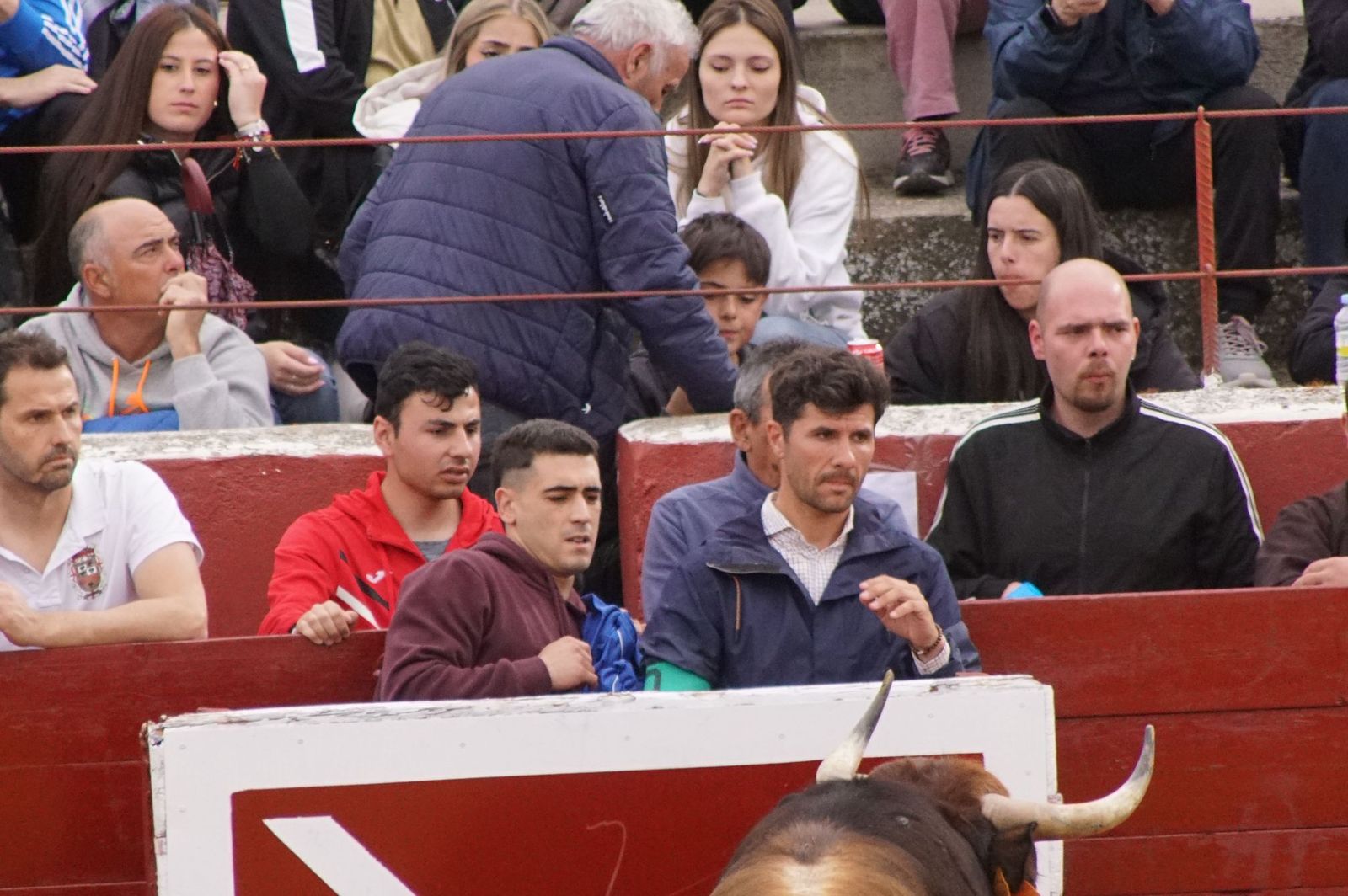 Villoria, toro del Voto