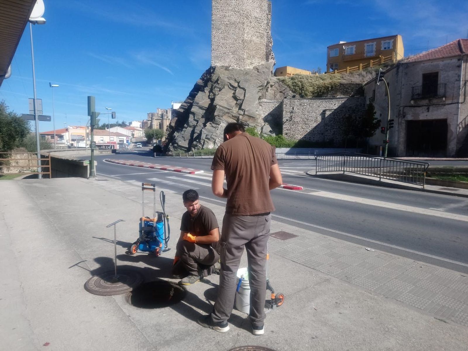 Control de plagas (2)