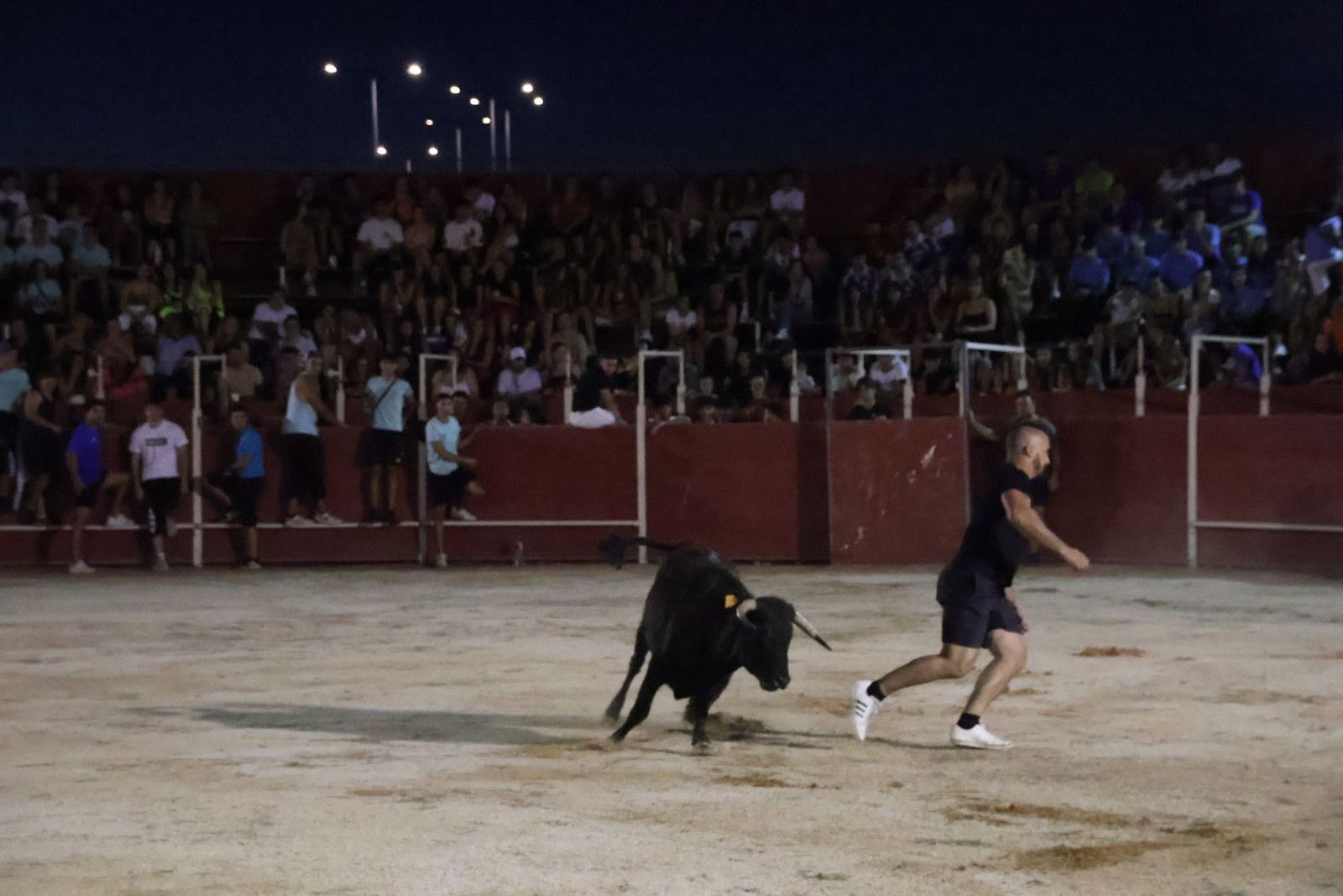 20230812211723-img-1215