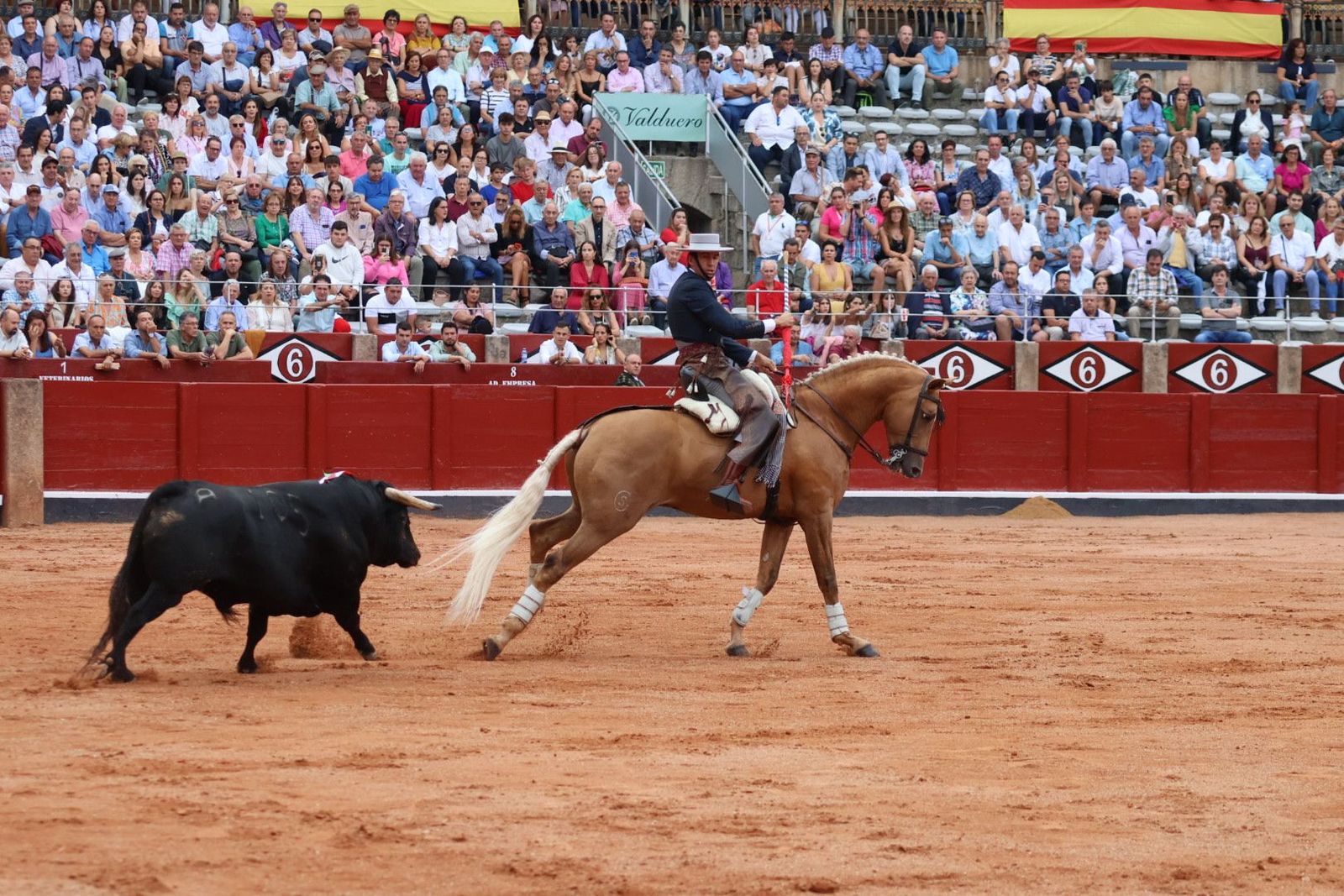 20230909173525-img-0482