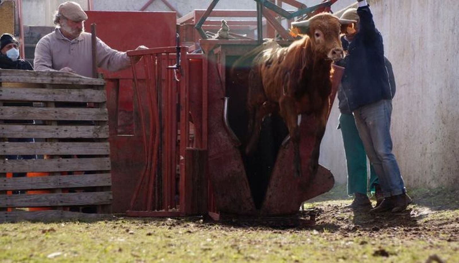 Hermanos Cambronell (38)