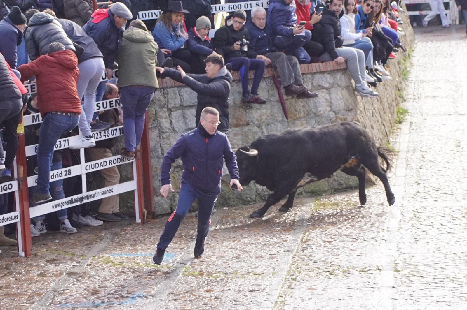 ambiente-encierro-urbano-lunes-de-carnaval-en-ciudad-rodrigo-12-de-febrero-de-2024-fotos-s24h-32